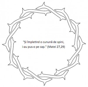 coroanaspini